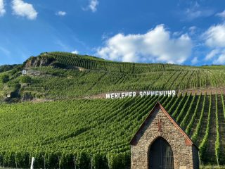 Weinprobe Frankfurt Deutschland deine Weine