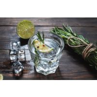 Gin-Tasting Frankfurt – Gin Tonic