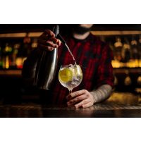 Gin-Tasting Frankfurt – Barmann