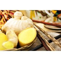 Thai-Kochkurs Frankfurt – frischer Ingwer