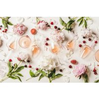 Weinprobe Frankfurt Wein genießen lernen