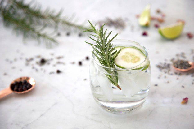 Gin-Virtuelles Gin-Tasting – Gin Tonic mit Limette