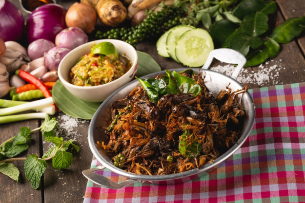 Insekten-Kochkurs Mannheim – zwei gegrillte Heuschrecken