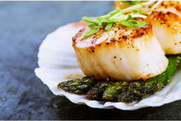 Tag am Meer - Jakobsmuscheln