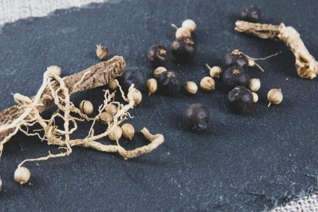 Virtuelle Brennereiführung mit Gin-Tasting zu Hause – Botanicals