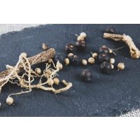 Virtuelle Brennereiführung mit Gin-Tasting zu Hause – Botanicals