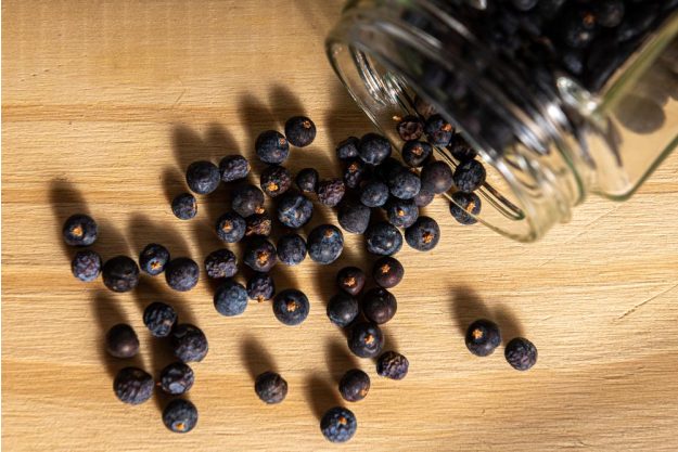 Gin-Tasting Augsburg –  Wacholder