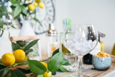 Gin-Tasting Augsburg  Gin und seine Botanicals