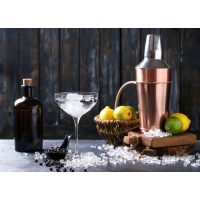 Gin-Tasting-Augsburg die besten Gins entdecken