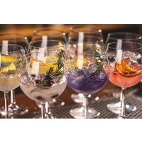 Gin-Tasting Augsburg – Gin Varianten