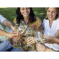 Weinseminar Augsburg – mit Weisswein anstossen