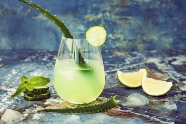 Gin-Tasting-Gutschein – Gin Mare mit Aloe-Vera-Deko