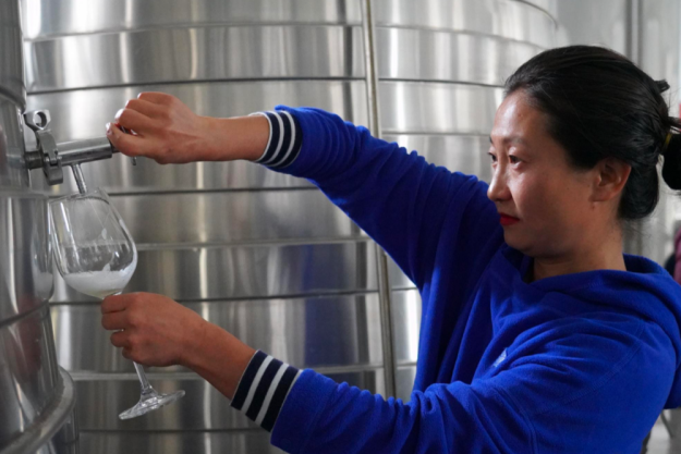 digitales Event Weinreise China Weinausbau