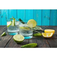 Gin-Tasting Münster der beste Gin