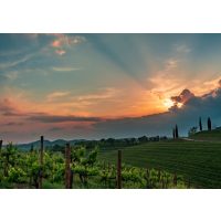 Virtuelle Reise schönste Weinberge