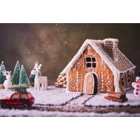 Weihnachtlicher Backkurs Münster – Lebkuchenhaus im Schnee
