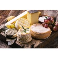 Weinseminar Münster - Käse und Trauben