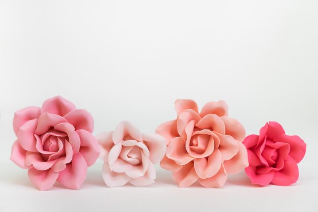 Tortenkurs Karlsruhe – Zuckerblüten Auswahl