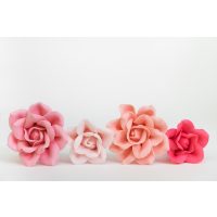 Tortenkurs Karlsruhe – Zuckerblüten Auswahl