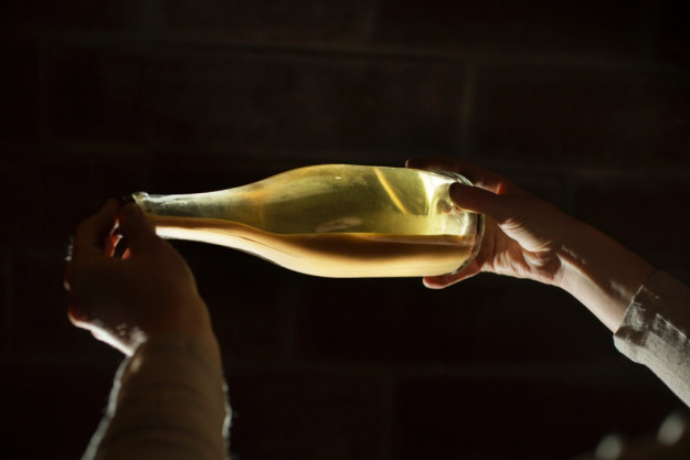 Weinprobe mit Wanderung Pfalz –Wein