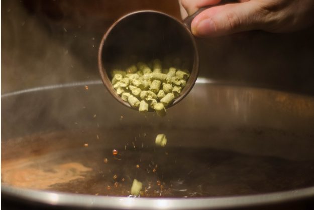 Braukurs Heidelberg – Hopfen