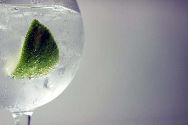 Gin-Tasting Heidelberg – Gin mit Limette