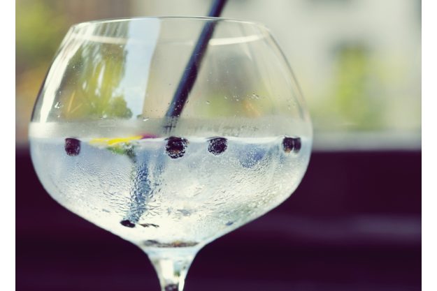 Gin-Tasting Heidelberg – Gin mit Wacholderbeeren