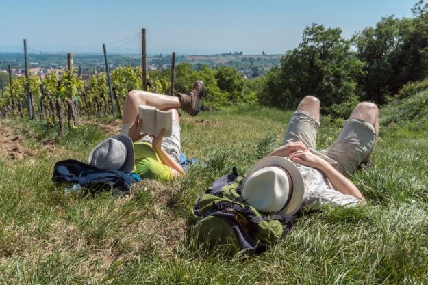 Wein-Wanderung Pfalz: Mittagspause im Gras am Weinberg