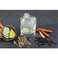 Gin-Tasting Heidelberg – Gin mit Wacholder und Gurke