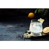 Gin-Tasting Heidelberg – Gin-Tonic mit Rosmarin 
