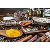 Indischer Kochkurs Mannheim die besten indischen Rezepte