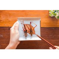 Insekten-Kochkurs Mannheim – zwei gegrillte Heuschrecken