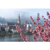 Kulinarisches Location-Hopping Heidelberg: Alte Brücke