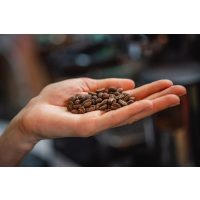 Rösterei-Führung Heidelberg: beste Espresso-Röstung