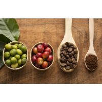 Rösterei-Führung Heidelberg: der Weg zum fertigen Kaffee