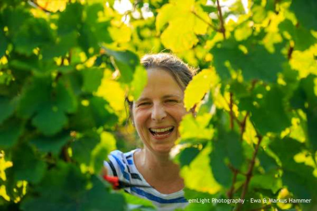 Weinwanderung online mit Essen Picknick