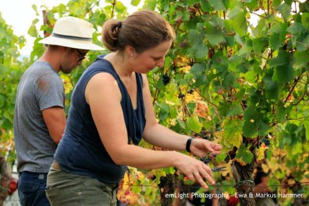 Weinwanderung online Barbara Roth