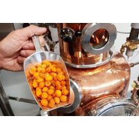 Virtuelle Brennereiführung mit Gin-Tasting zu Hause – Herstellung Gin