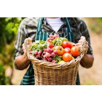 Geschenkidee für Lokalhelden – Bio-Gemüse