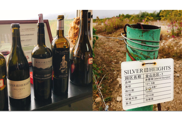 digitales Event Weinreise China Weinanbau