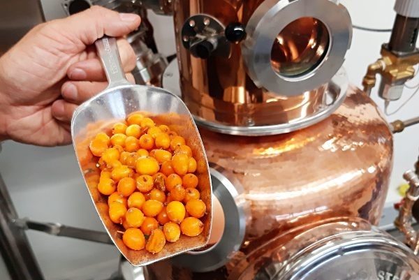 Virtuelle Brennereiführung mit Gin-Tasting zu Hause Gin-Brennereiführung@Home