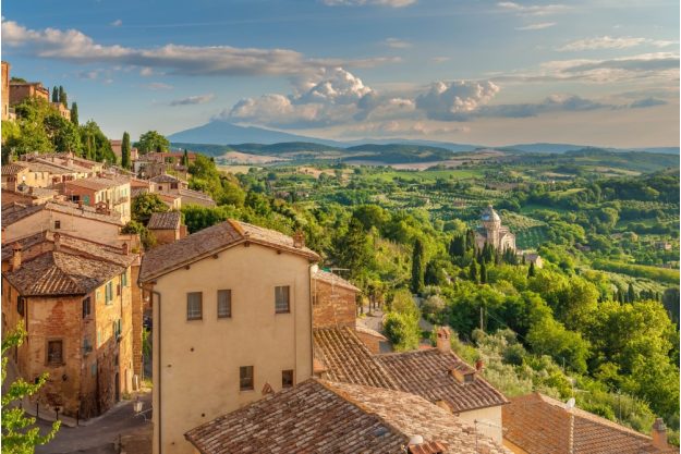 virtuelle Reise in die Toskana, Weinberge