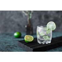 Gin-Virtuelles Gin-Tasting – Gin Tonic mit Limette