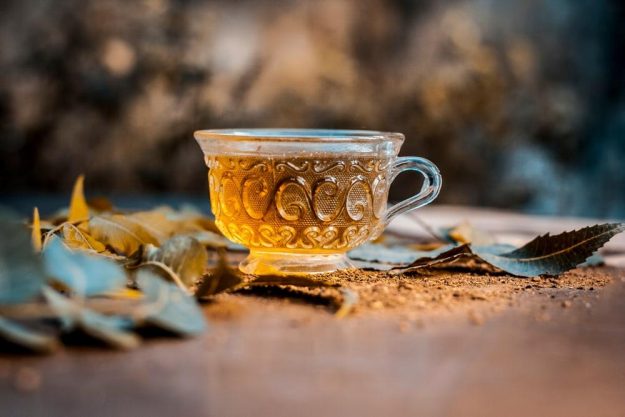 Ayurvedischer Kochkurs Stuttgart – wärmender Tee