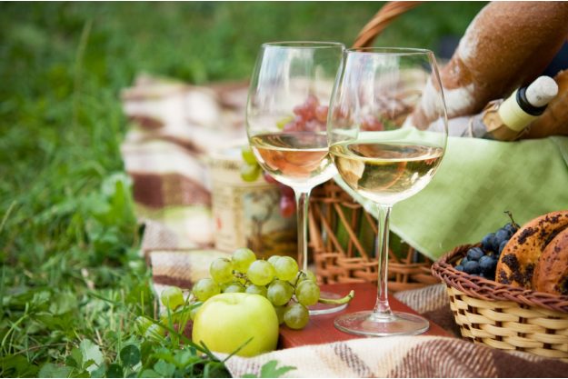 Firmenfeier mit Weinseminar in Ludwigsburg – Picknick mit Wein 
