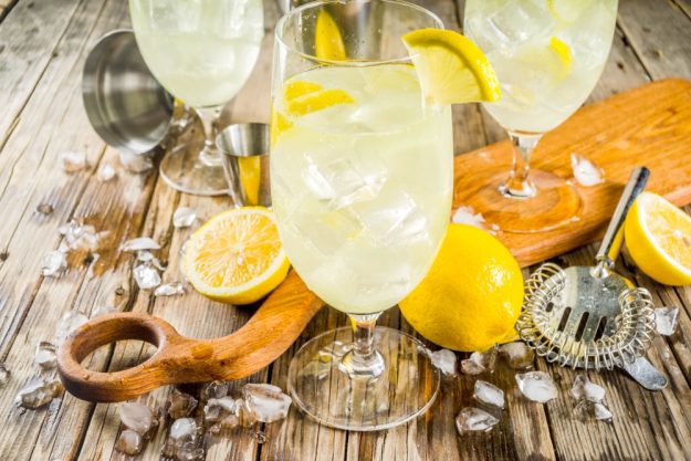 Gin-Tasting Stuttgart – Gin aus Südfrankreich