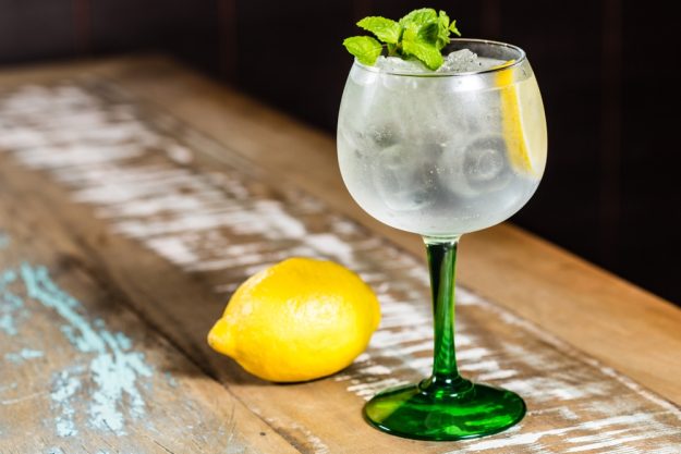 Gin-Tasting Stuttgart – Gin mit Zitrone