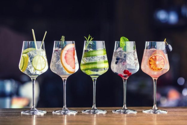 Gin-Tasting Stuttgart: verschiedene Gin Tonics