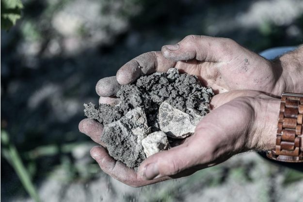 Weinprobe Stuttgart – Erde auf Weinberg