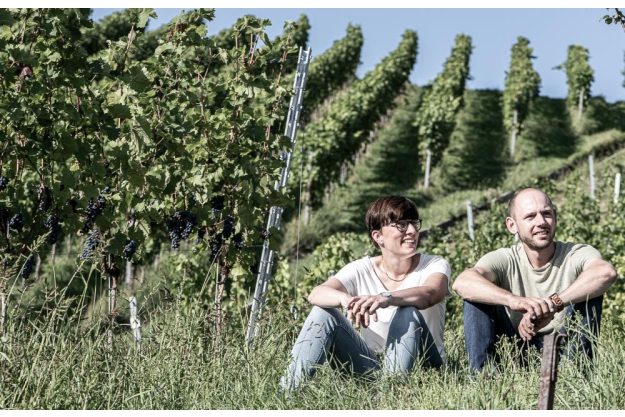 Weinprobe Stuttgart – im Weinberg